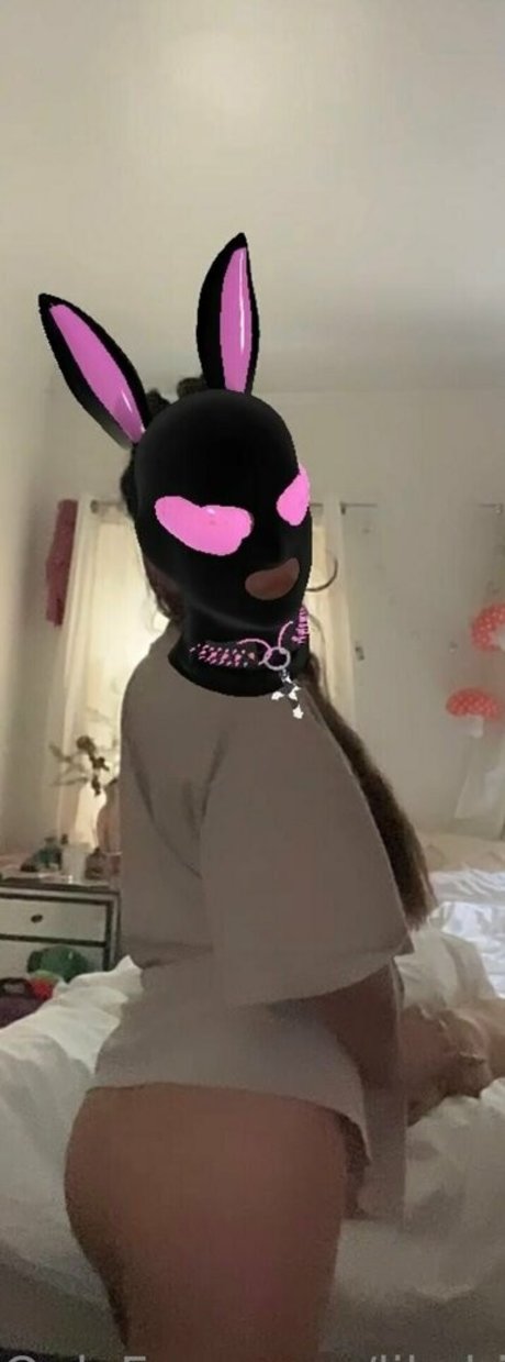 lil chinita sexy star archive