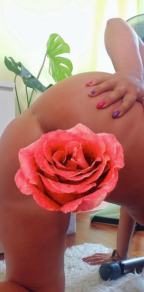 firebird ash high quality pornstar img