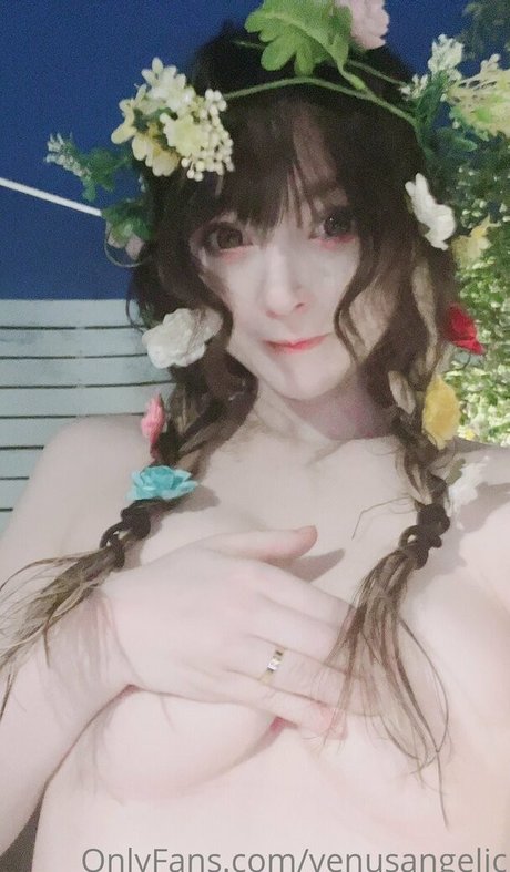 Venusangelic model pornographic galleries