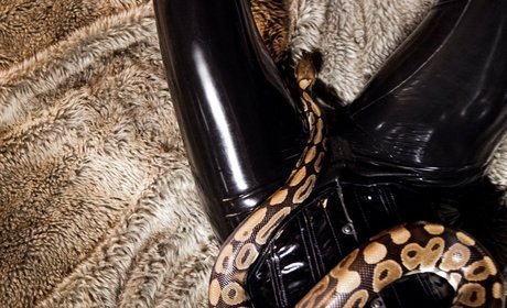 Rubberragdoll hot actress archive