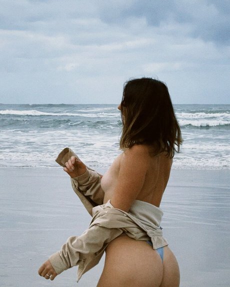 Seashark perfect star gallery