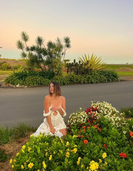 Seashark model free picture