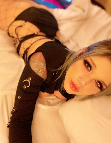 Siege best model img