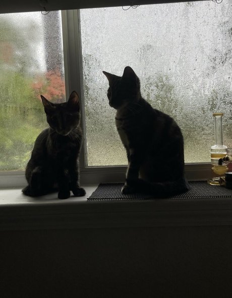 Kinkykha porn actress photo