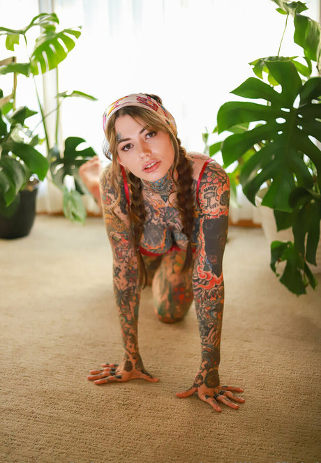 Tigerlilly star top pictures