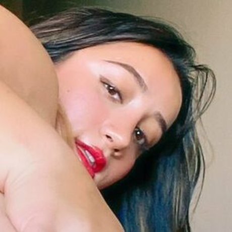 NikkiGeeks top model image