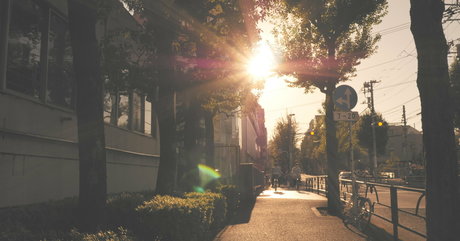 shiina sora712 pornstar perfect img