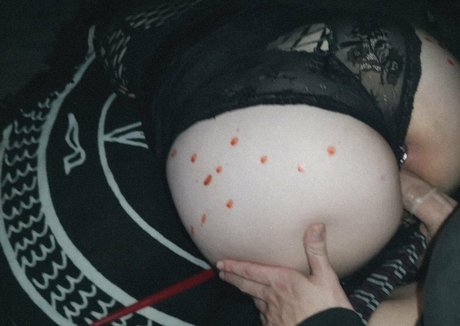 morguecat high quality star photos