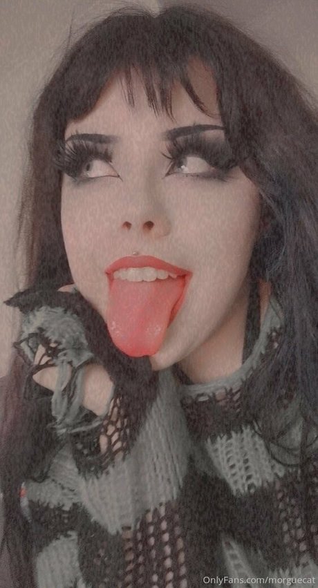 morguecat sexy star pictures
