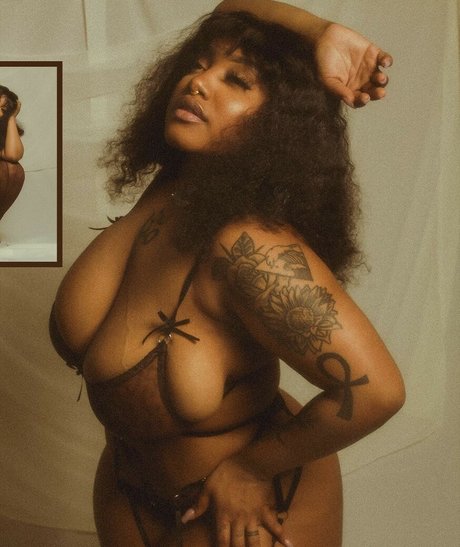 Oyastorms free model images