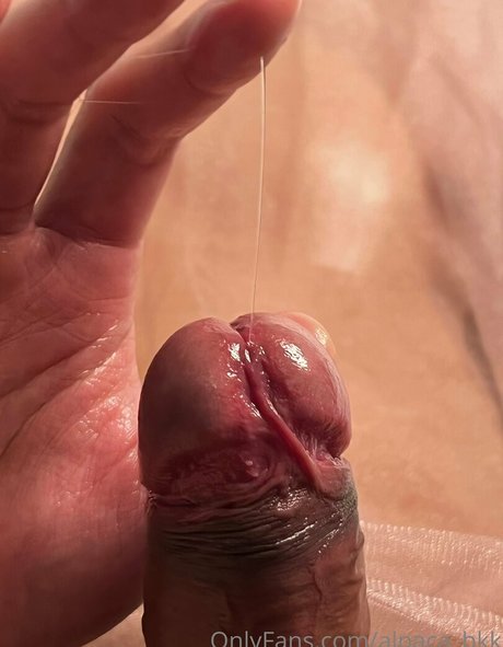 alpaca bkk model exclusive galleries