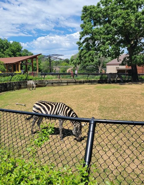 peachyqueen45 art actress pics