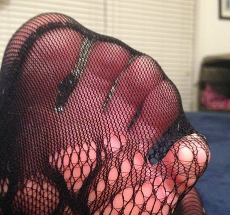 sweettoes4u pornstar free image