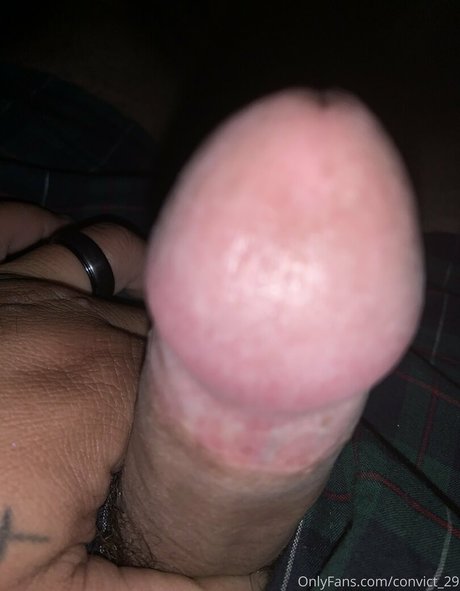 convict 29 porn star img