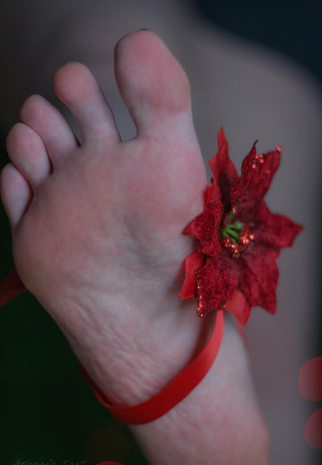 athenasf33t star beautiful img