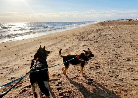 Somethingnotsilly hd pornstar pictures