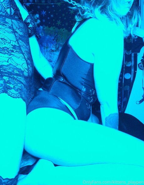 kittens playpen star pretty image