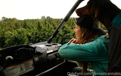 danceincannabis star naked pics