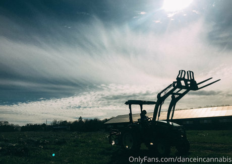 danceincannabis pornstar xxx picture