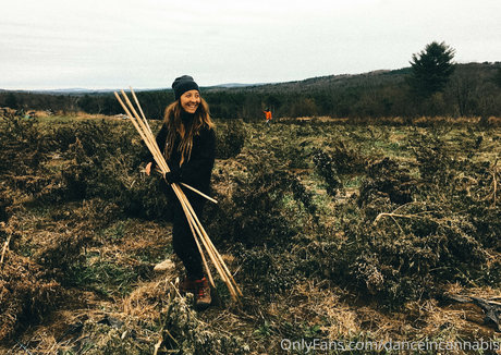 danceincannabis pretty pornstar img