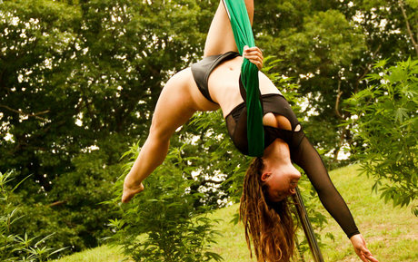 danceincannabis art star photo