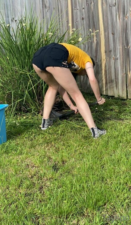 taylipo model nice archive