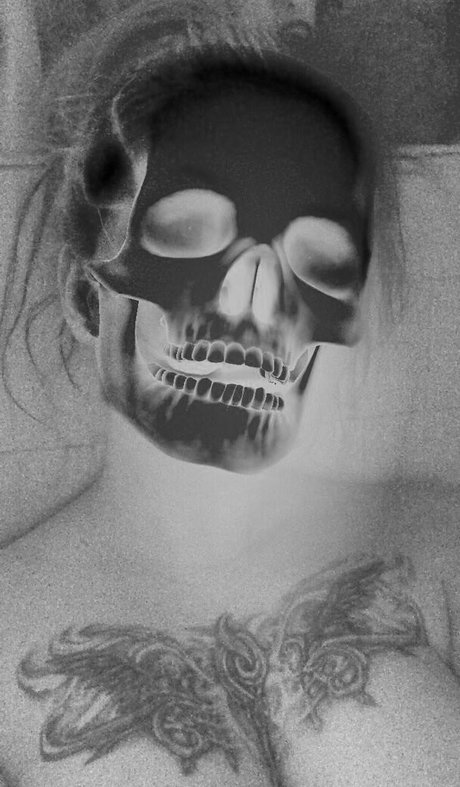 Justshep pornstar free pic