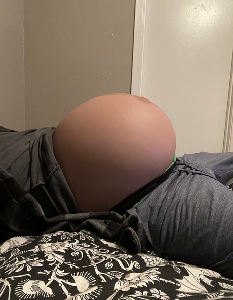 mpreg88 model top img