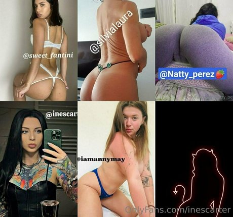 inescarter model top pic