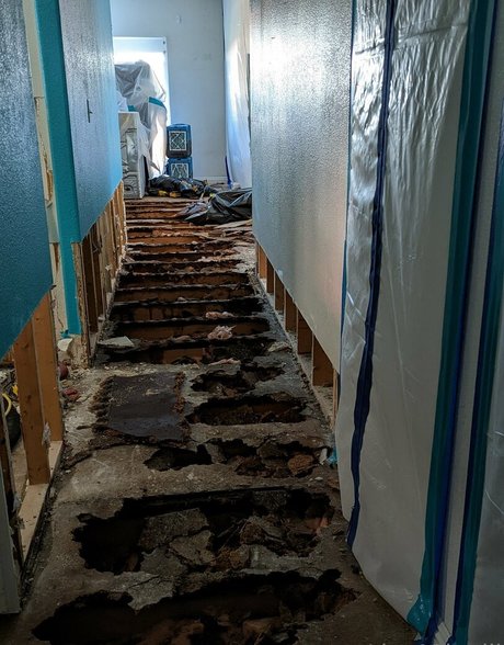 lisaapinelli art star picture