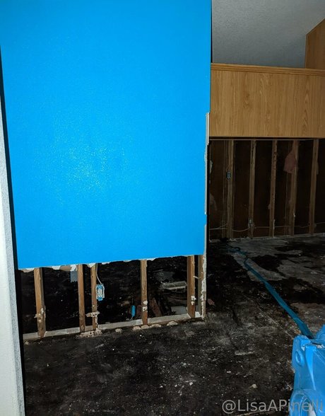 lisaapinelli high quality star archive