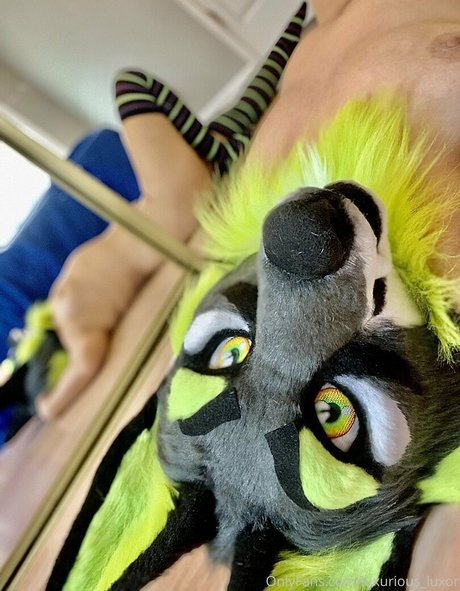 luxurious luxor high quality model photos