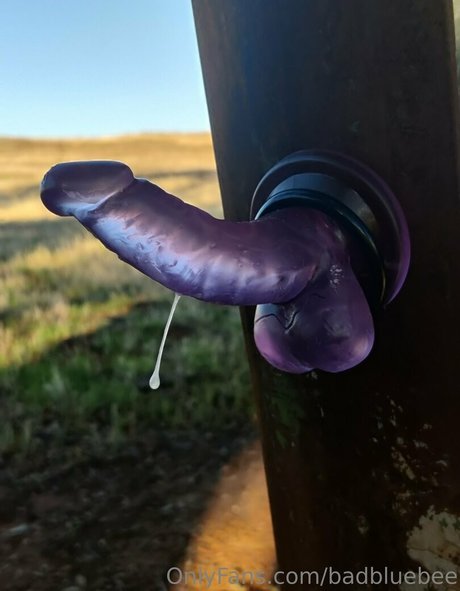 badbluebee perfect star archive