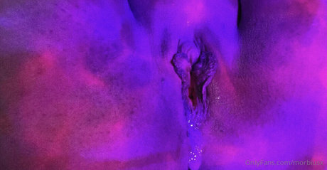 Morbiuspup model high quality picture