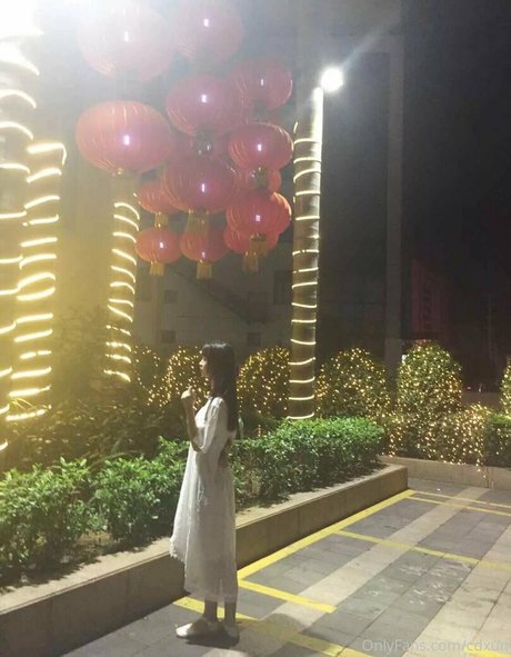 cdxun model best archive