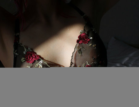 meowkott star high quality img