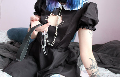 meowkott free star picture