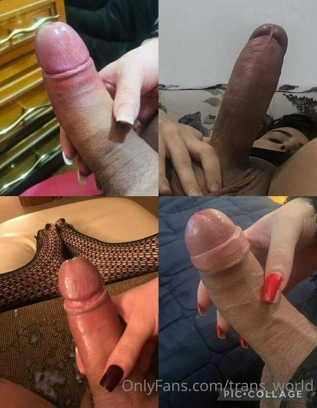 trans world star adult galleries