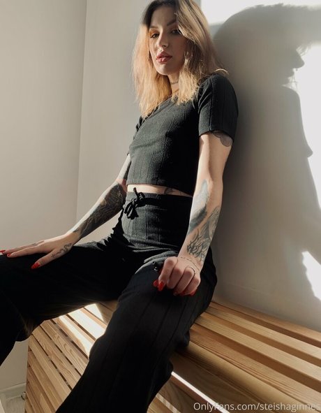 steishaginnes model nice galleries