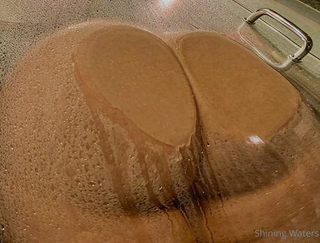 shiningwaters nice pornstar pics
