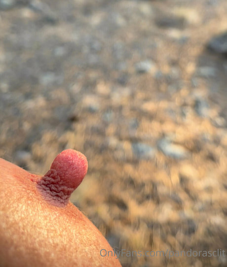 Pandorasclit pornstar art gallery