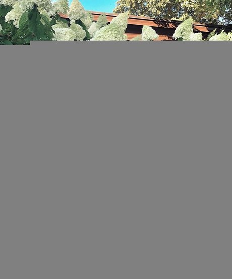 Kaylee S free star picture