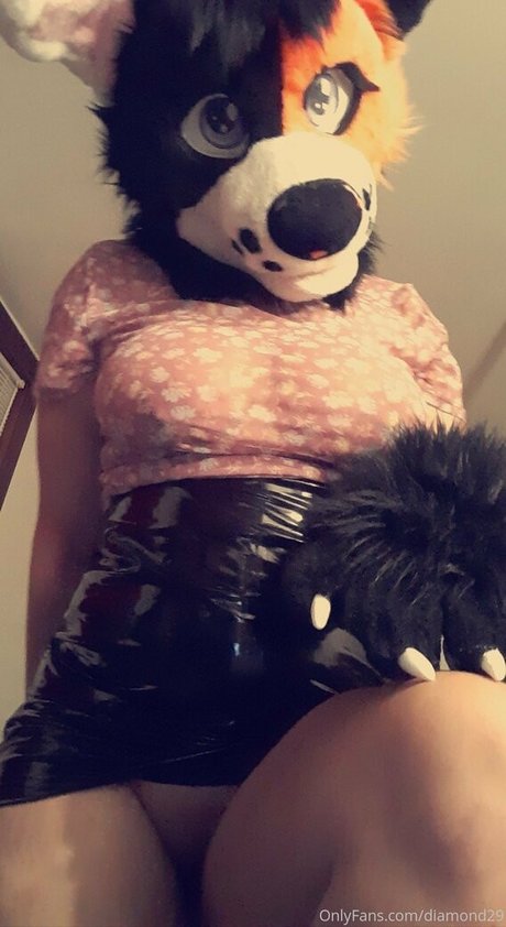 ddlove9 star sexy gallery