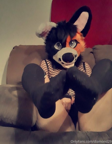 ddlove9 model free pictures