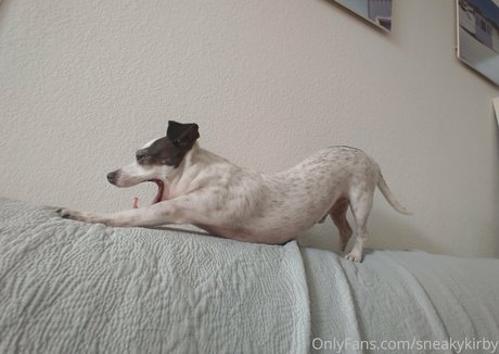 sneakykirby sexy actress images