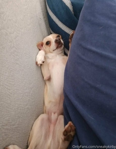 sneakykirby pornstar pretty image