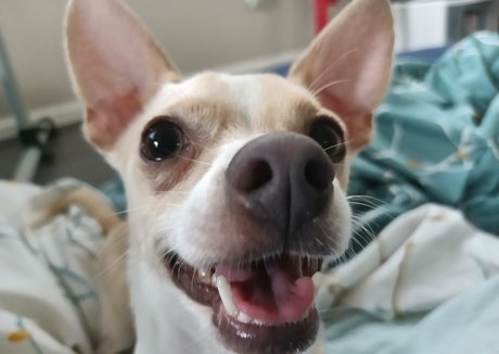 sneakykirby adult actress pic