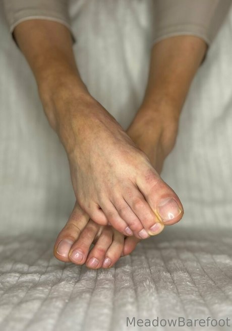 meadowbarefoot top pornstar images