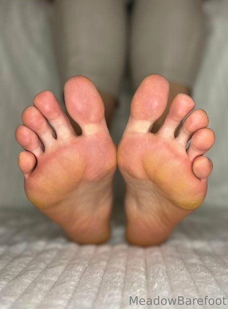meadowbarefoot model pornographic pic