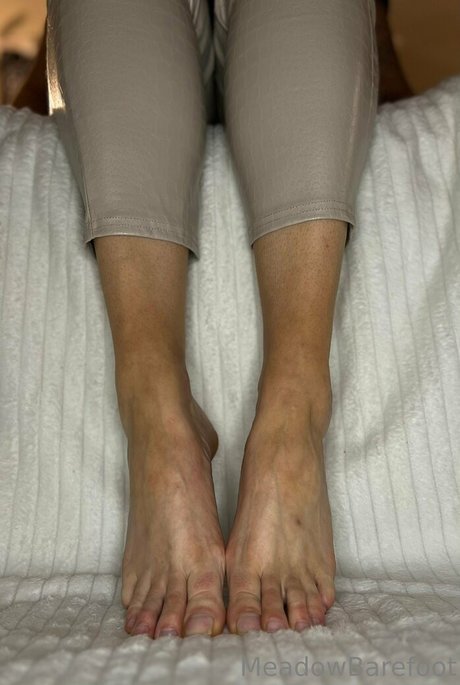 meadowbarefoot star exclusive gallery